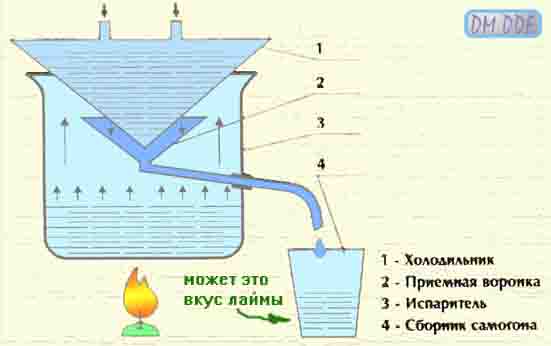 6.jpg[12 кб]